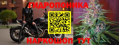 амф Ливны